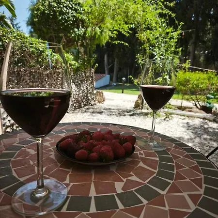 Paradise Gardens Luxury Oasis