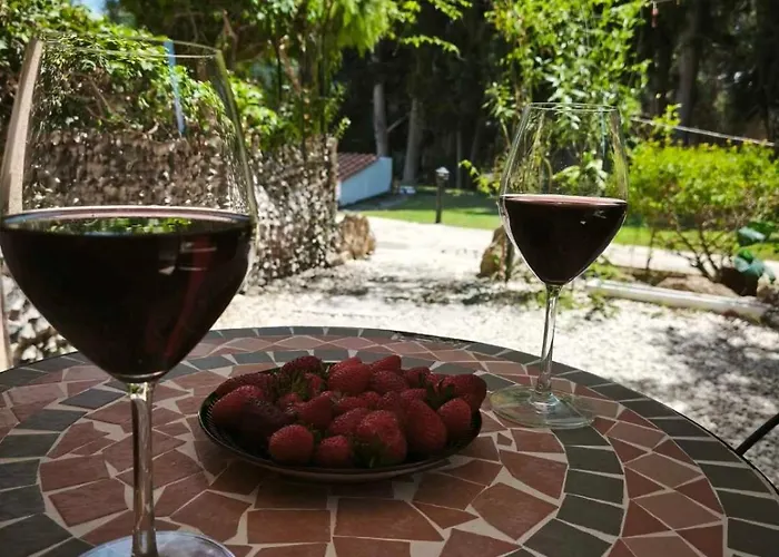 Paradise Gardens Luxury Oasis